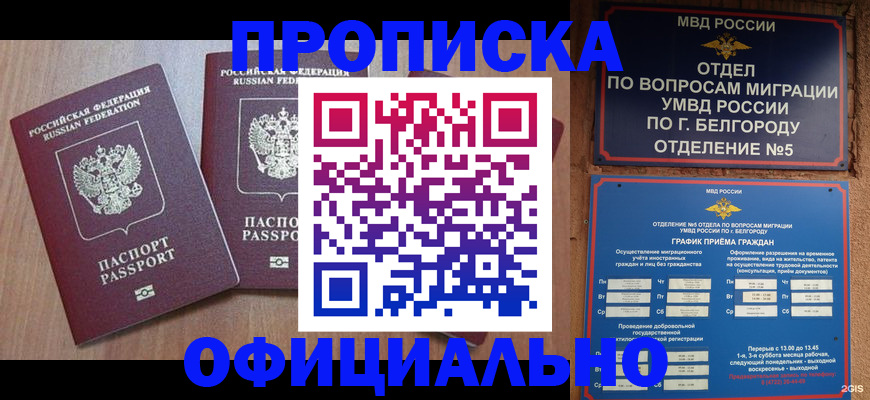 найти адрес прописки в Богучаре